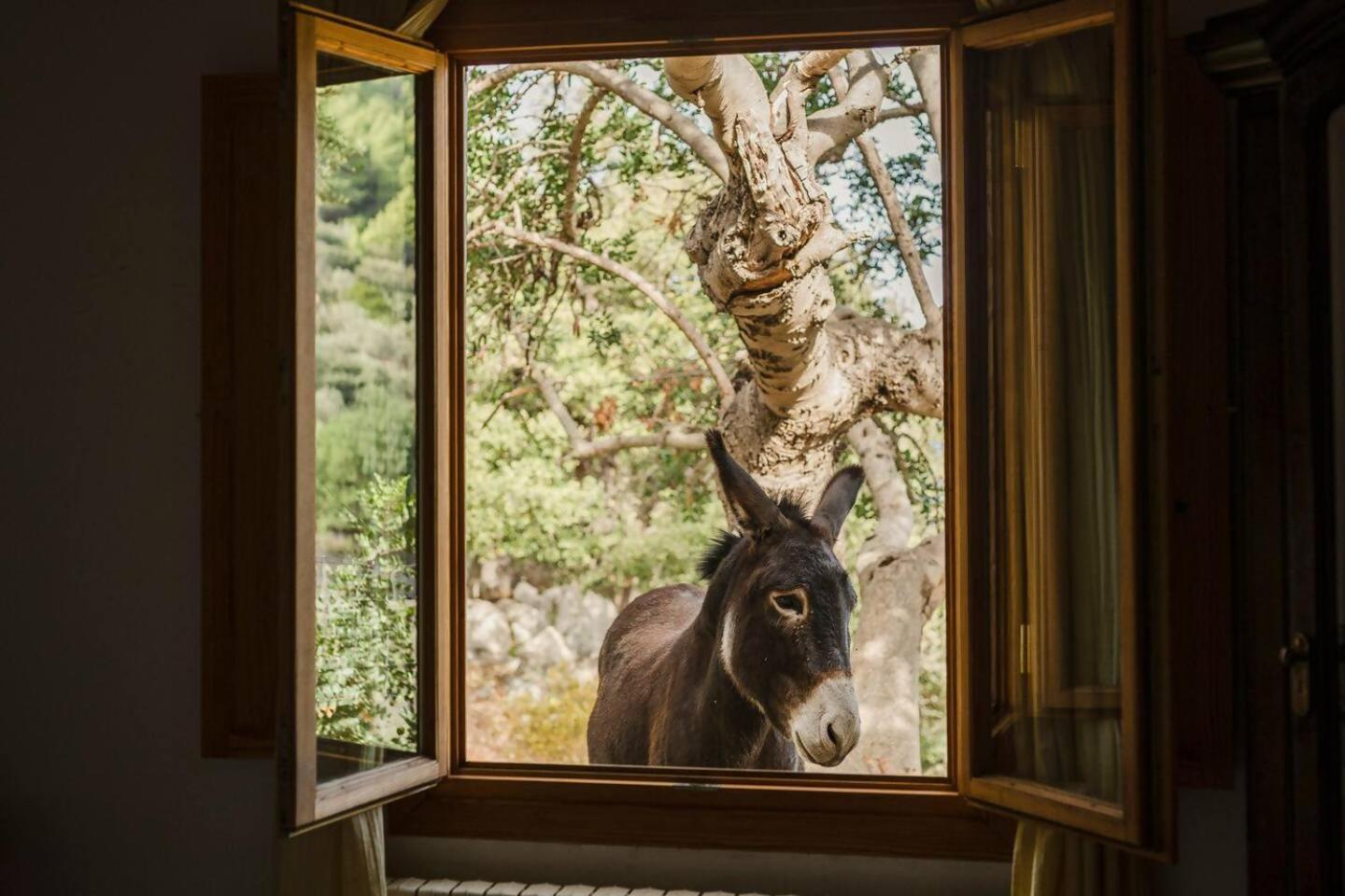 Casa Tramuntana Villa Valldemossa  Kamer foto