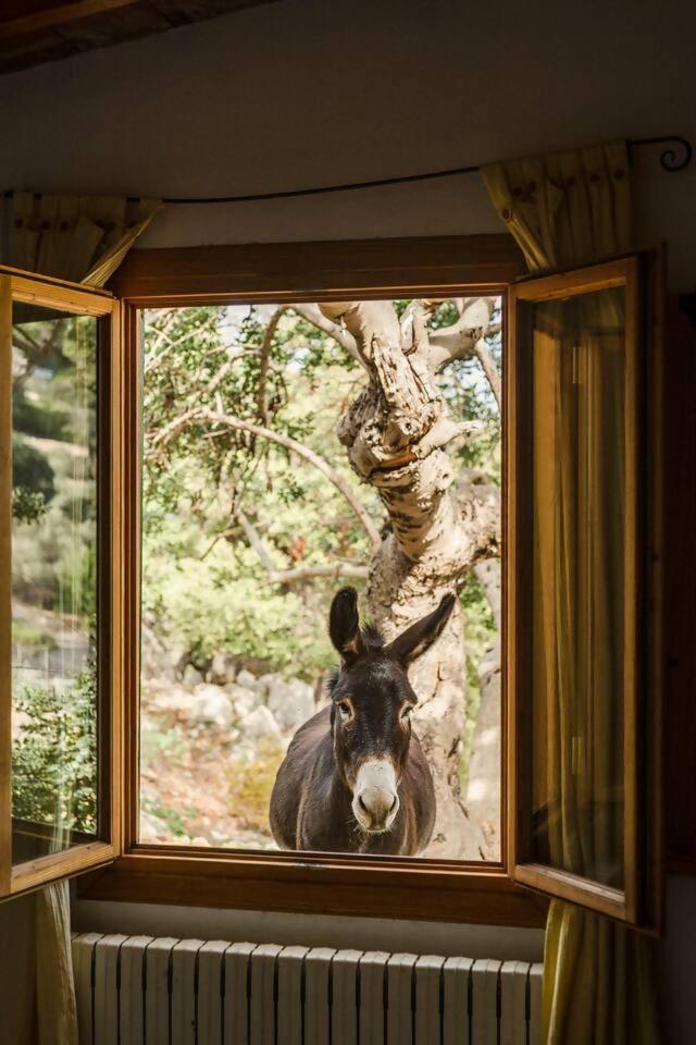 Casa Tramuntana Villa Valldemossa  Kamer foto